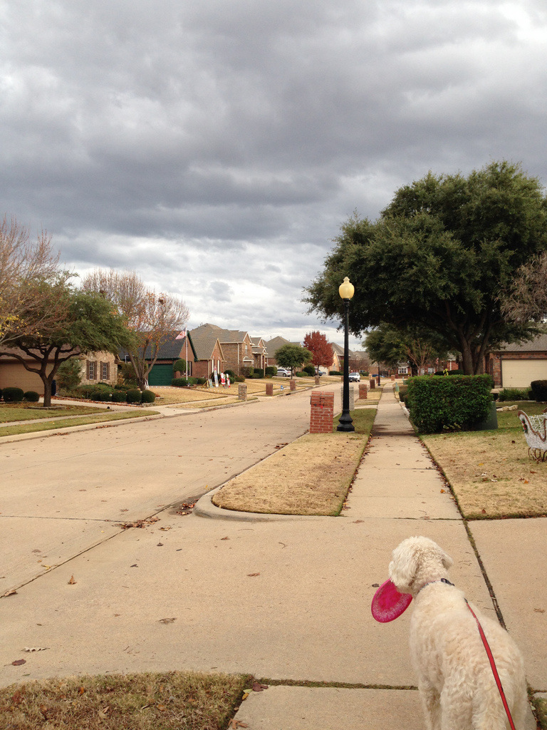 Fall walkies